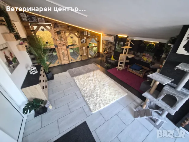 Хотел за котки Уговет-самостоятелни стаи/София-Казичене