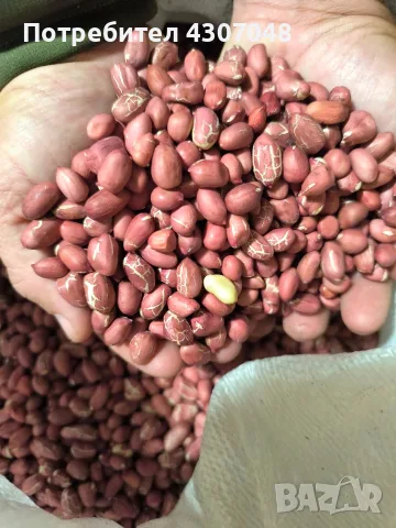 Български Фъстъци , снимка 3 - Домашни продукти - 56677759