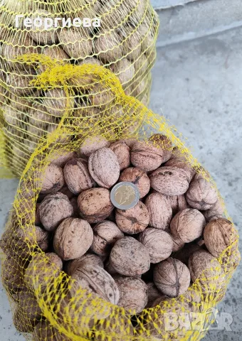 Продавам пресни орехи