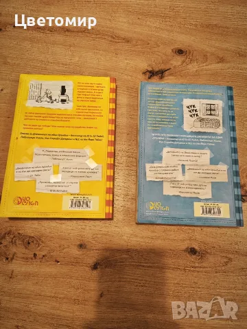 Дневникът на Един Дръндьо , снимка 2 - Детски книжки - 56638173
