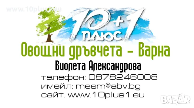 Овощен Разсадник - 10plus1