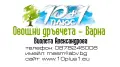 Овощен Разсадник - 10plus1, снимка 1