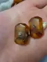 кехлибар. брошка. копчета от кехлибар.amber., снимка 5