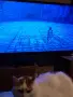 PlayStation 2 fat пълен комплект, снимка 3