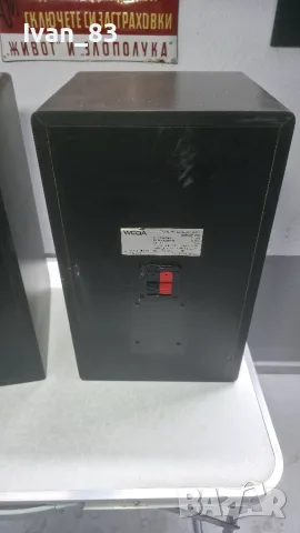 Трилентови тонколони Wega Direct 200, снимка 13 - Тонколони - 56726737