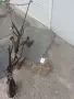 За декорация. или за работа., снимка 2