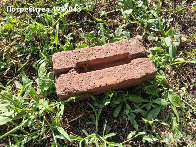 ТУХЛИ   ЕДИНИЧНИ