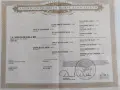 Продавам кобила Куотър хорс , снимка 3