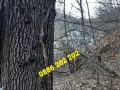 Продава УПИ 1600кв.м., снимка 4