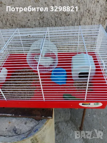 Minii Hamster..