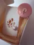 Зодиакални брошки - зодия Телец, снимка 3