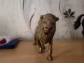 Голям лъв от бронз, снимка 2
