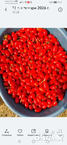 Шипков мармалад от Родопите , снимка 2 - Домашни продукти - 56605383
