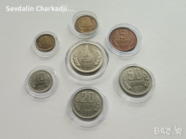 Пълен циркулационен лот 1981, снимка 4 - Нумизматика и бонистика - 56744338