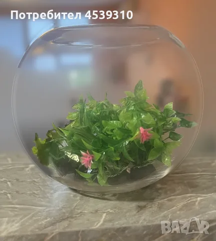 Кръгъл стъклен аквариум 7 л с декорация