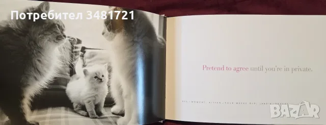 Cattitude Box Set, снимка 15 - Други - 56715704