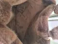 Дамска пухена чанта, снимка 2