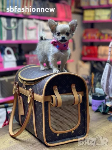 Louis Vuitton чанта за куче или коте, снимка 2 - За кучета - 56629850