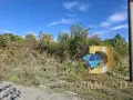 Парцел в село Целина, общ. Чирпан, снимка 3
