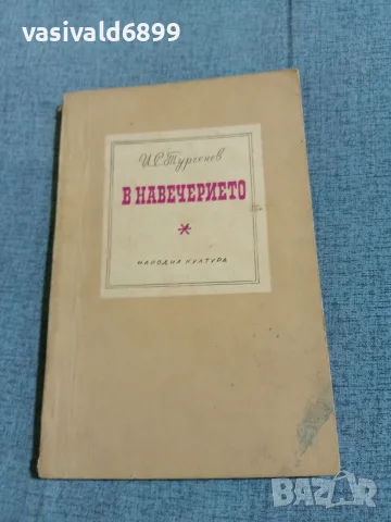 Тургенев - В навечерието 
