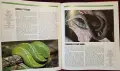 The Encyclopedia of World Wildlife, снимка 5