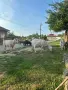 Кози майка и дъщеря , снимка 1