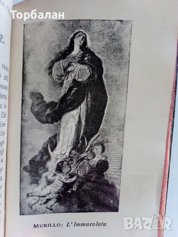 100 годишна книга, снимка 13 - Антикварни и старинни предмети - 56626496