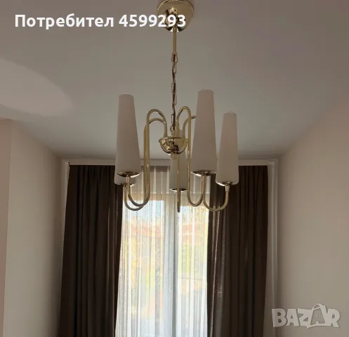 Полилей с пет чашки , снимка 2 - Полилеи - 56583365
