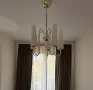 Полилей с пет чашки , снимка 2