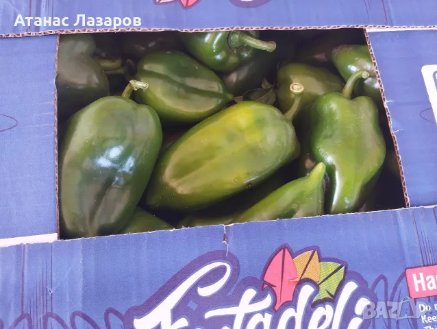 Продавам зелена капия на едро