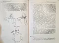 Communicating in Sign. Creative Ways to Learn American Sign Language, снимка 5
