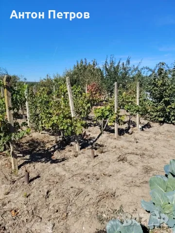 Продава КЪЩА област Ловеч, с. Йоглав, снимка 5 - Къщи - 56750925