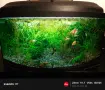 Аквариум с риби 60 и стойка, снимка 3