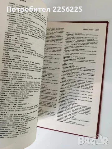 Български синонимен речник, снимка 4 - Специализирана литература - 56595842