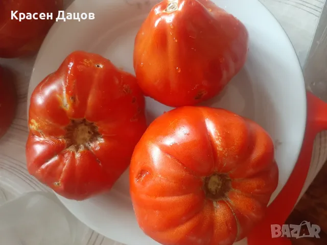 Цели домати в буркани , снимка 4 - Домашни продукти - 56729609