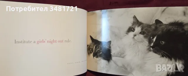 Cattitude Box Set, снимка 6 - Други - 56715704