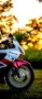 Honda CBR f4i Sport , снимка 6