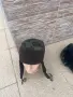 Воени ушанки вълнени , снимка 8