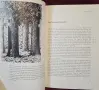 Magritte, World of Art, снимка 7
