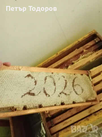 Акациев мед 2026, снимка 3 - Пчелни продукти - 56414104