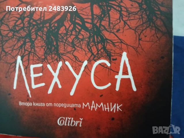 Лехуса, Аждер  Васил Попов, снимка 4 - Художествена литература - 56743968