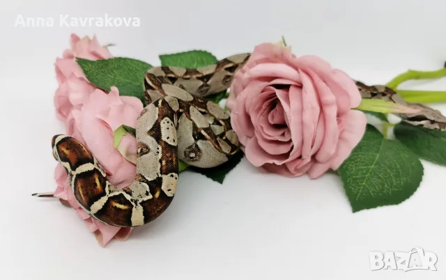 Boa constrictor imperator /Боа удушвач, снимка 4 - Змии - 56737740