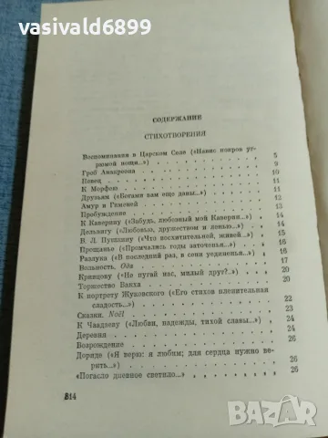 Пушкин - стихотворения и поеми , снимка 5 - Художествена литература - 56642236