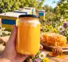 Чист Пчелен Мед от GOLDEN BEE FARM., снимка 1