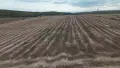 Парцел с морска панорама с.Близнаци , снимка 4