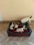 Джак Ръсел кучета, снимка 8