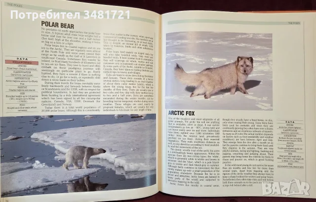 The Encyclopedia of World Wildlife, снимка 9 - Енциклопедии, справочници - 56715705