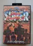 Super Street Fighter 2 - Sega Mega Drive, снимка 4