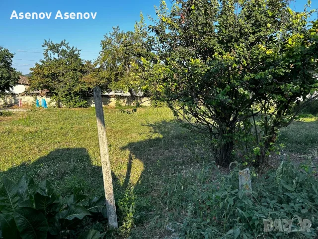 продавам имот село Ивански  , снимка 10 - Къщи - 56625745
