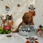 Toy poodle той пудел, снимка 8